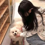 鹭岛裁决手游官方正版下载